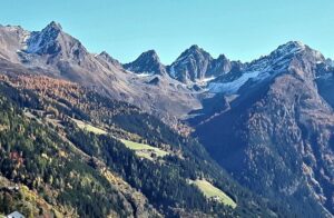 Wiesenhof Kaunergrat Tirol